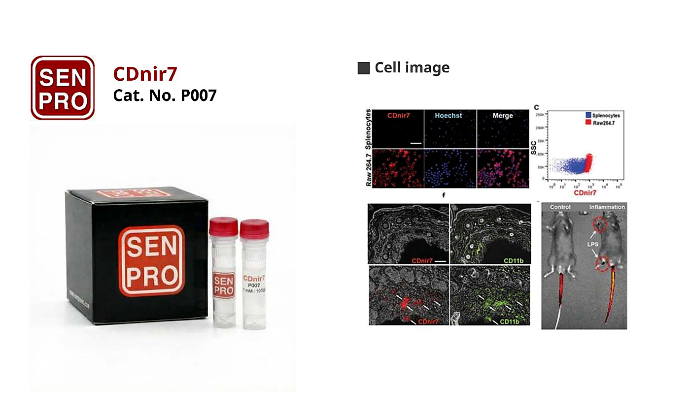 SENPRO CDnir7 巨噬细胞探针 P007 产品包装与实验图像