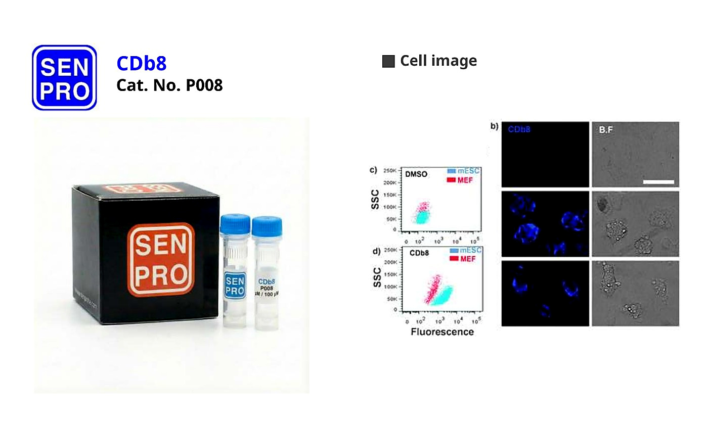 SENPRO CDb8 小鼠胚胎干细胞(mES)探针 P008 产品包装与实验图像