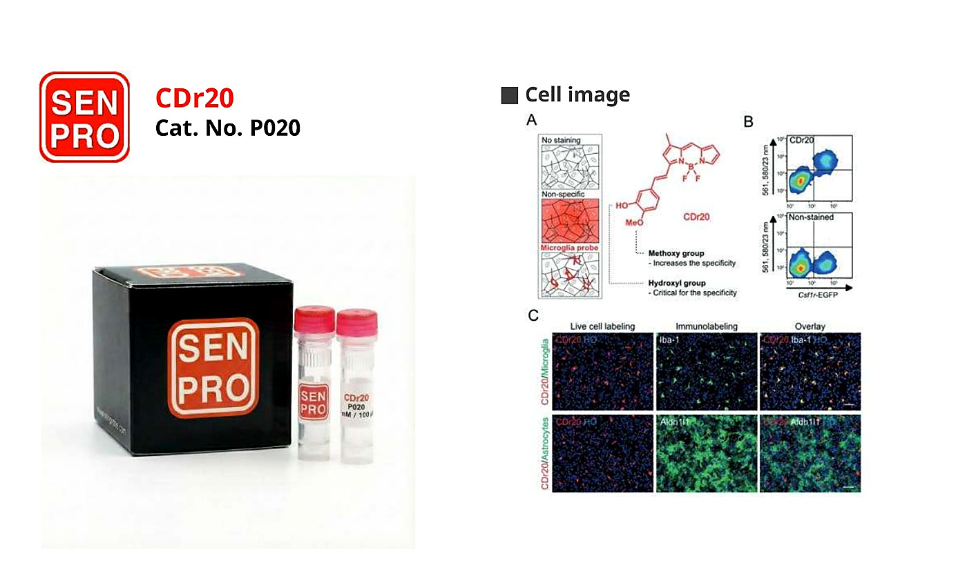 SENPRO CDr20 小胶质细胞选择性探针 P020 产品包装与实验图像