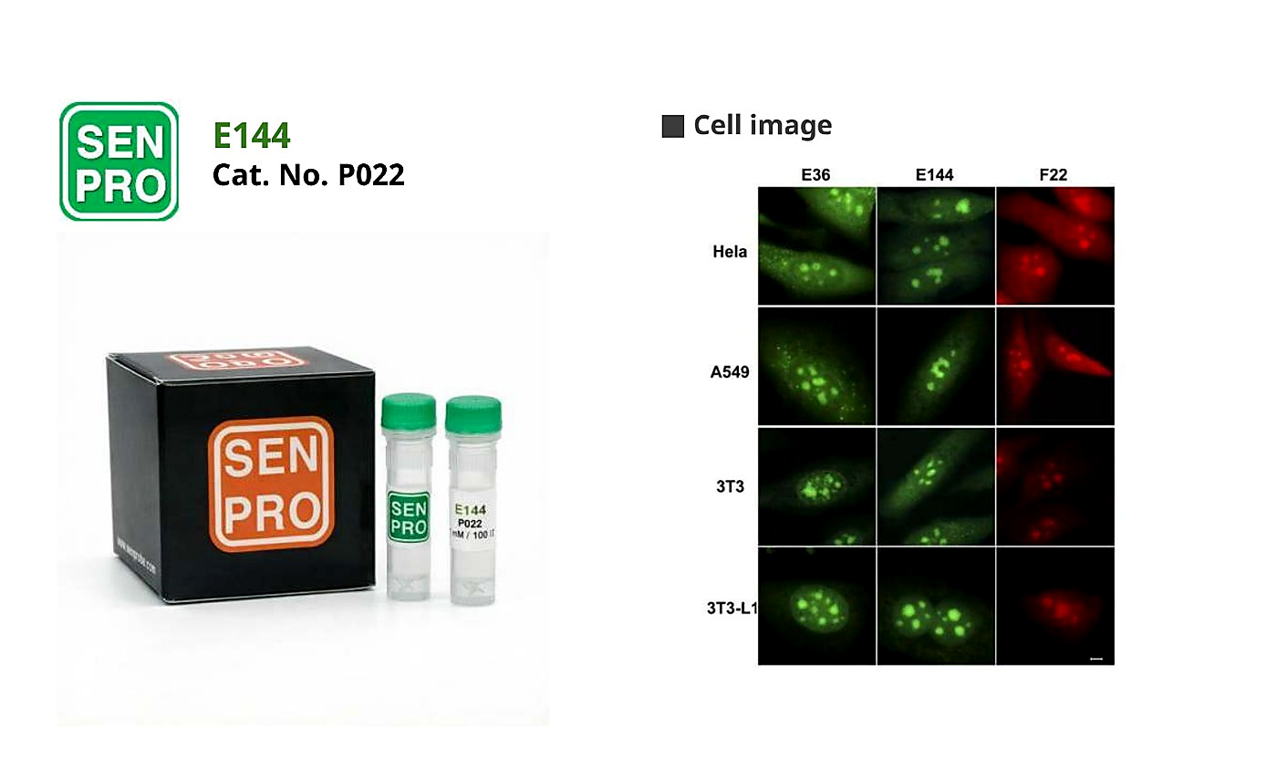 SENPRO E144 RNA 探针 P022 产品包装与实验图像