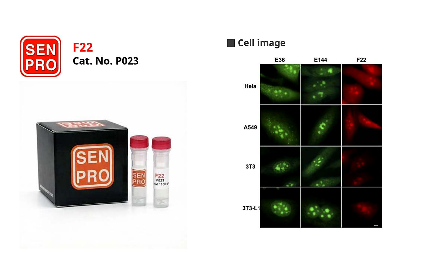 SENPRO F22 RNA 探针 P023 产品包装与实验图像