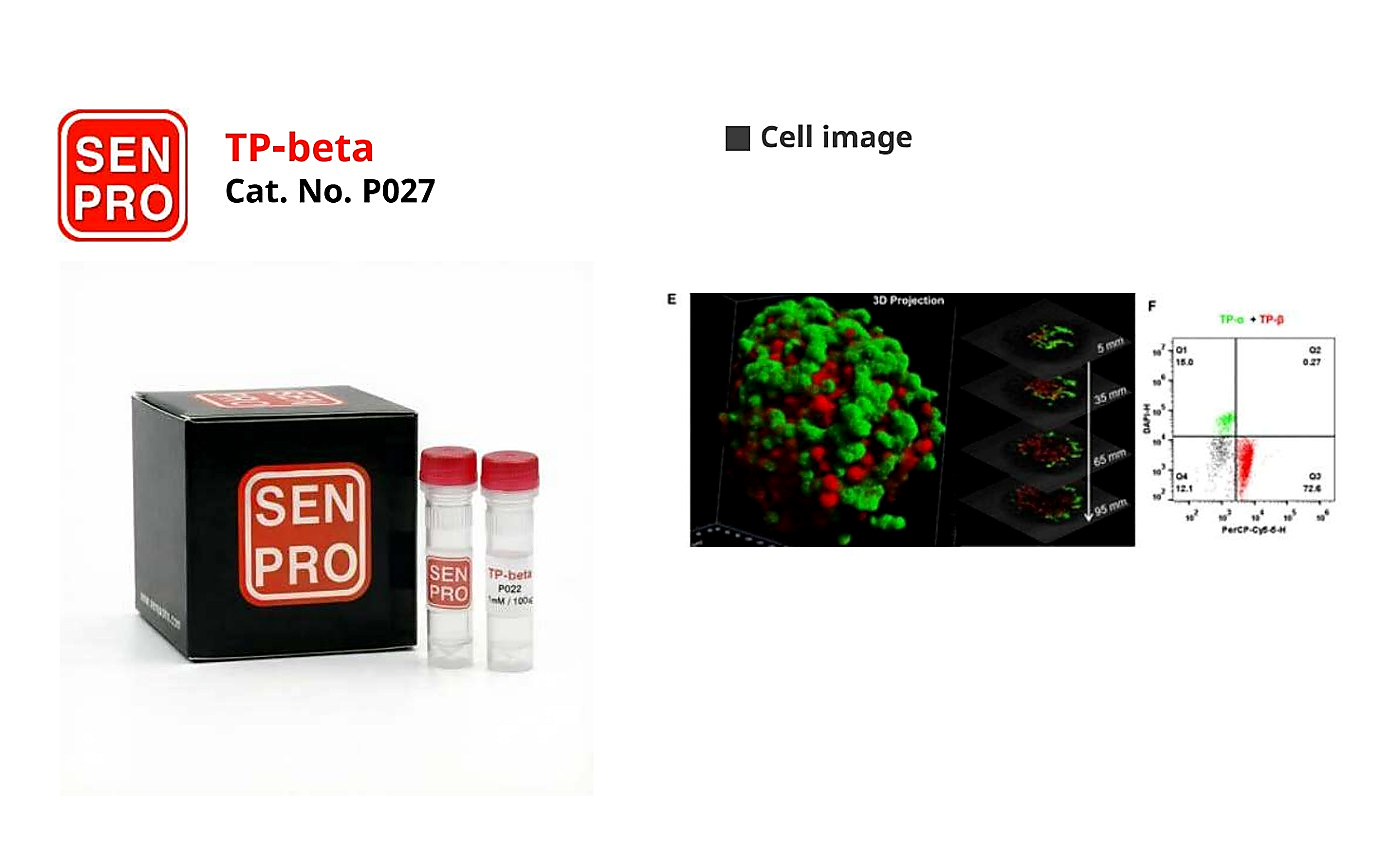 SENPRO TP beta 胰腺 β 细胞探针 P027 产品包装与实验图像