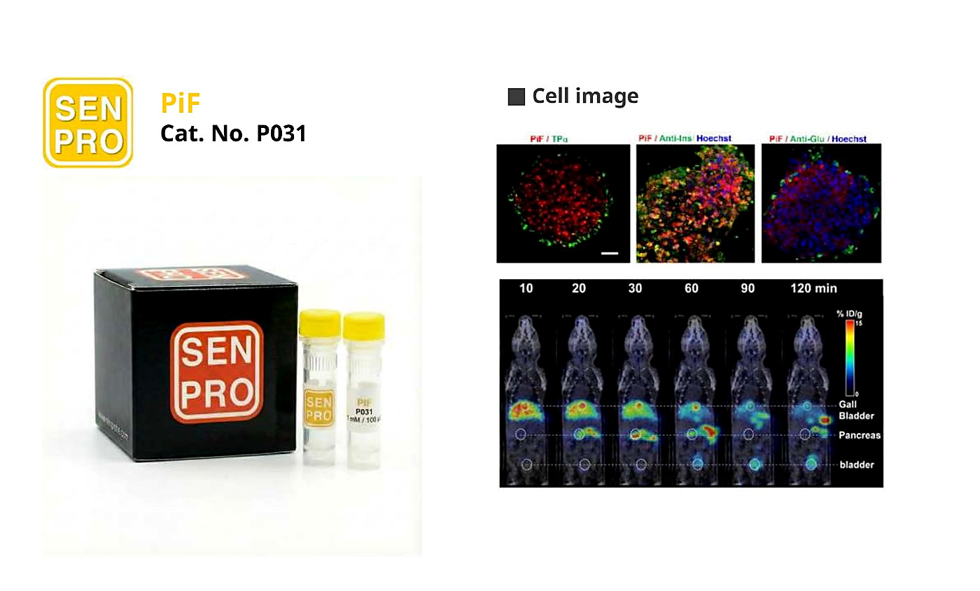 SENPRO PiF 胰腺 β 细胞探针 P031 产品包装与实验图像