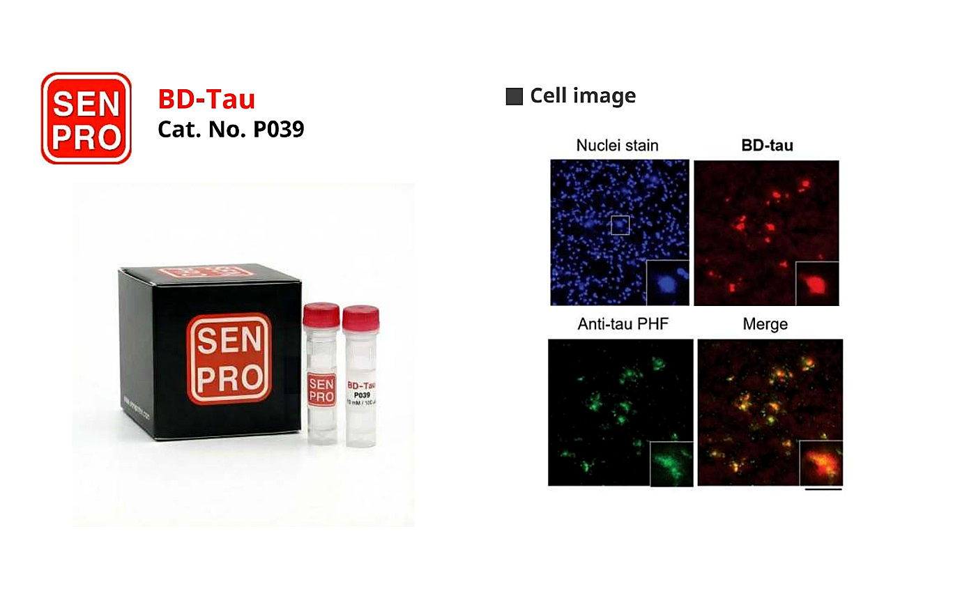 SENPRO BD-Tau Tau 蛋白探针 P039 产品包装与实验图像