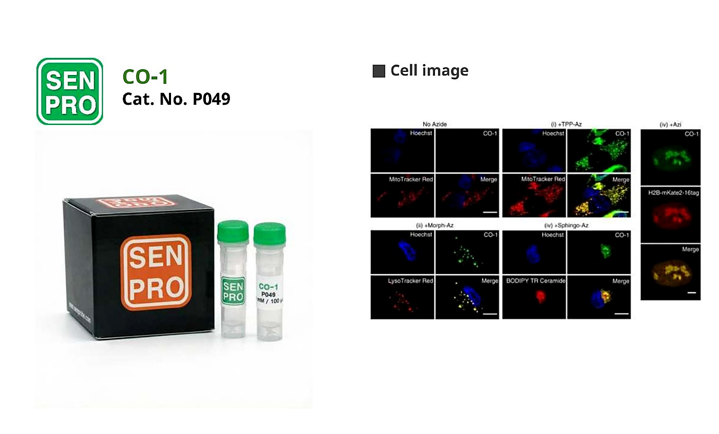 SENPRO CO-1 生物正交点击反应 P049 产品包装与实验图像