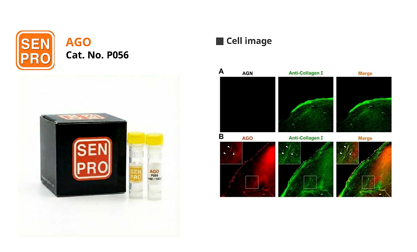 SENPRO AGO AGE 选择性探针 P056 产品包装与实验图像
