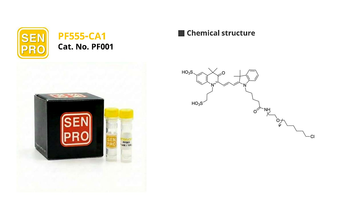 SENPRO PF555-CA1 超高光稳定性染料 PF001 产品包装与实验图像