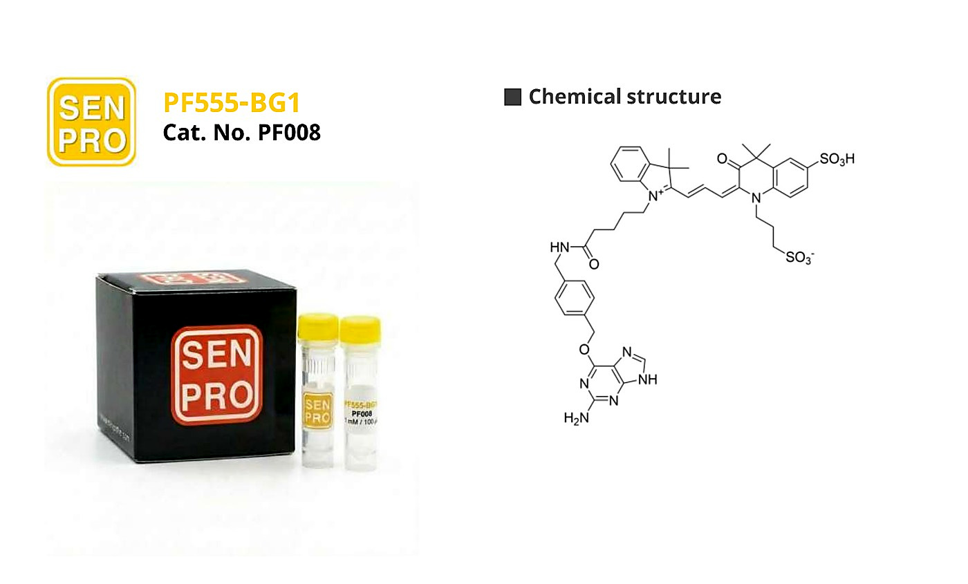 SENPRO PF555-BG1 超高光稳定性染料 PF008 产品包装与实验图像