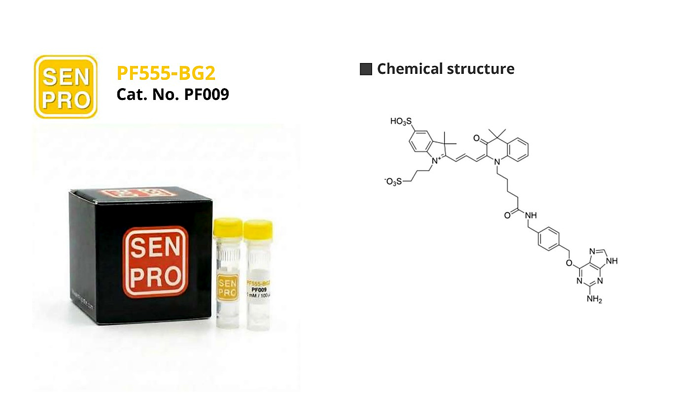 SENPRO PF555-BG2 超高光稳定性染料 PF009 产品包装与实验图像
